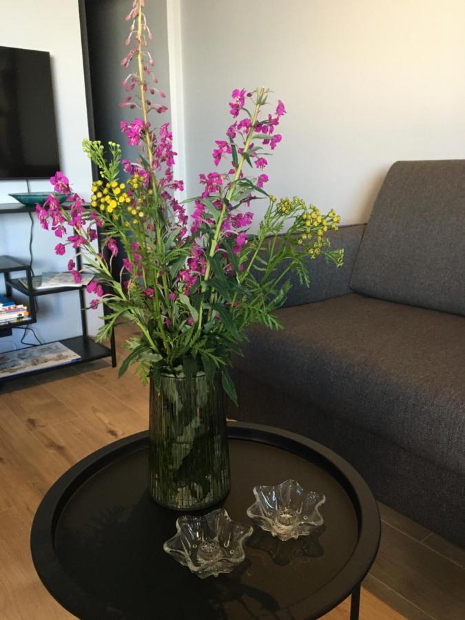 Arctic Loft Apartments Akureyri Zewnętrze zdjęcie